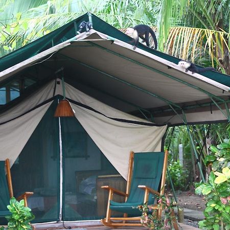Rafiki Beach Camp Matapalo  Esterno foto