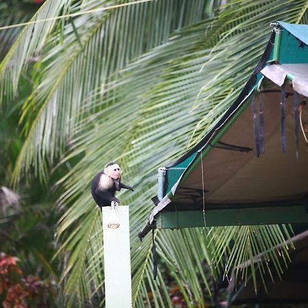 Rafiki Beach Camp Matapalo  Esterno foto