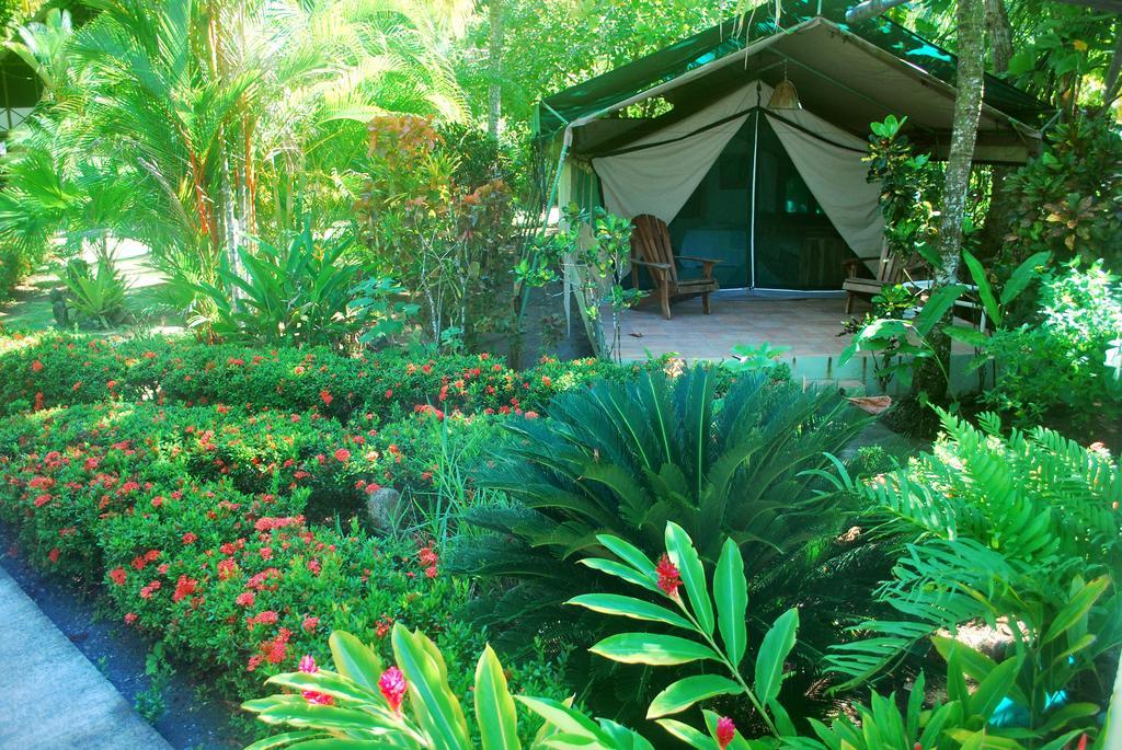 Rafiki Beach Camp Matapalo  Camera foto