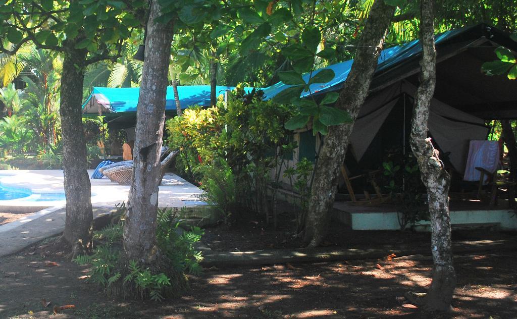 Rafiki Beach Camp Matapalo  Camera foto