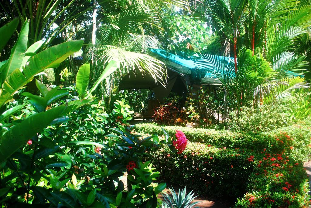 Rafiki Beach Camp Matapalo  Camera foto