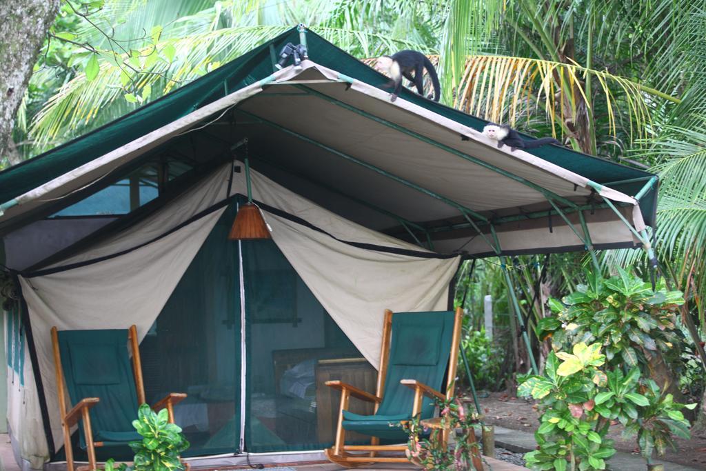 Rafiki Beach Camp Matapalo  Esterno foto